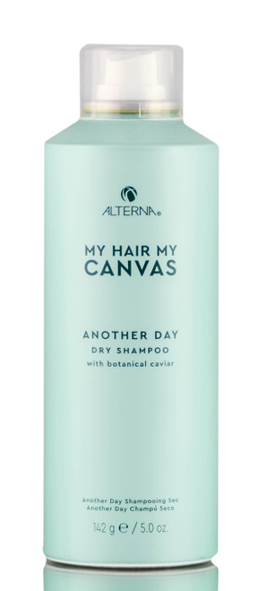 Alterna My Hair My Canvas Another Day Dry Shampoo-image1