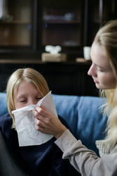 Exploring Holistic Allergy Solutions: What People Are Seeking