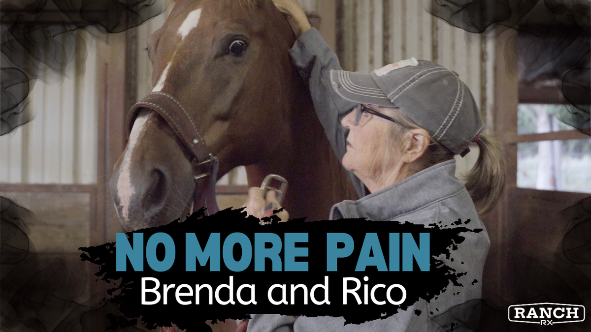 Conquering pain with Brenda and her horse Rico. 