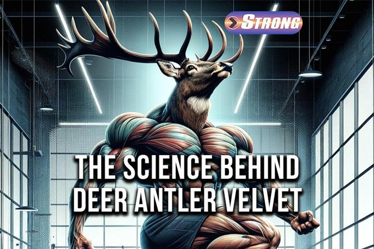 The Science Behind Deer Antler Velvet Extract in BuckedUp PreWorkouts