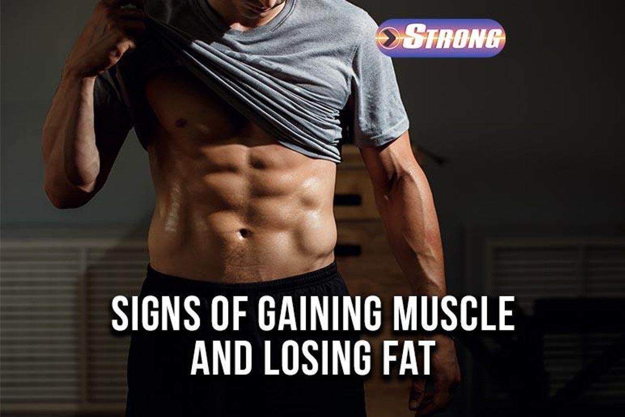 Signs of Gaining Muscle and Losing Fat What To Look For Strong Supplement Shop