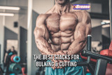 Prohormone Stacks: The Best Stacks For Bulking & Cutting