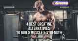 4 Best Creatine Alternatives to Build Muscle and Strength