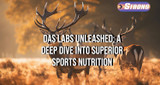 ​Das Labs Unleashed: A Deep Dive into Superior Sports Nutrition