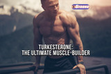 Turkesterone: The Ultimate Muscle-Building Ingredient