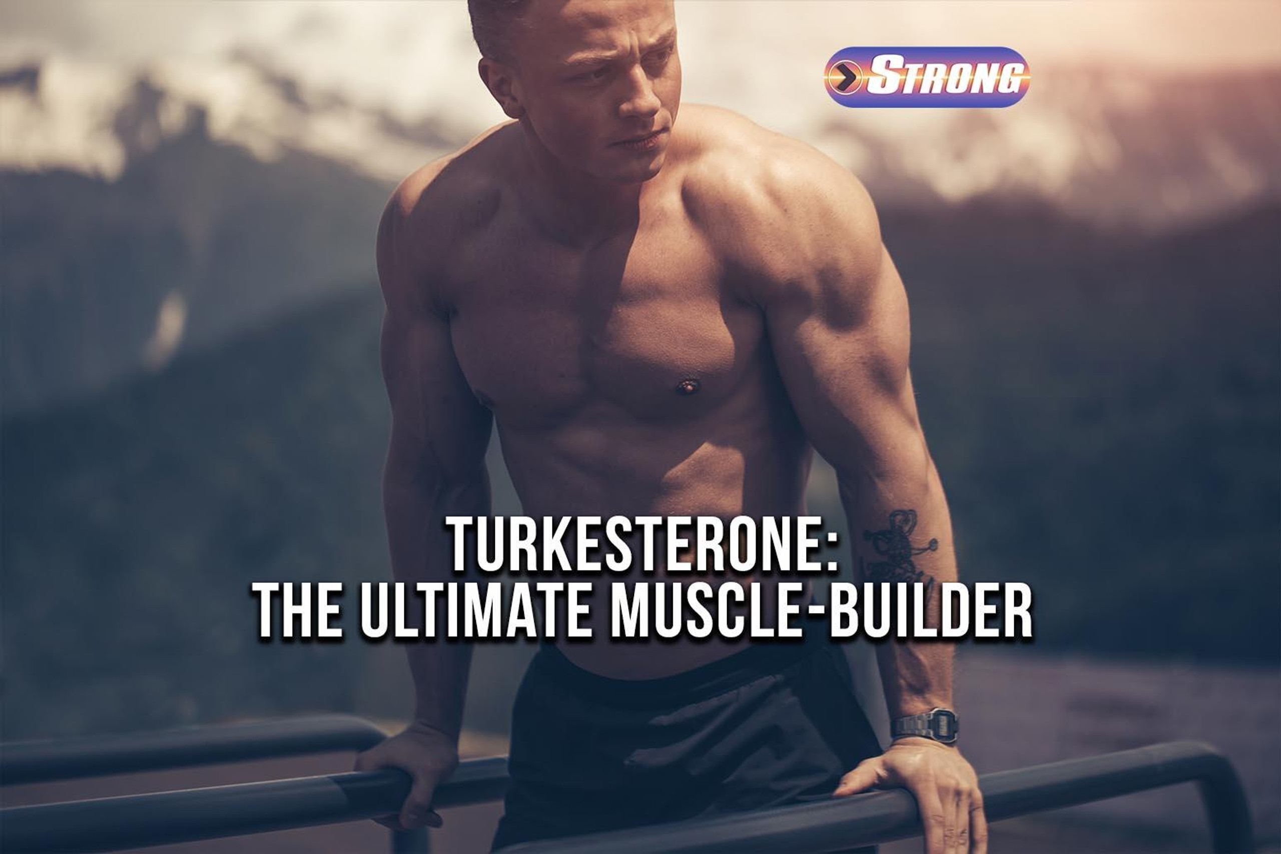 Bigger By The Day Muscle Builder With Turkesterone Turkesterone: The Ultimate Muscle-Building Ingredient - Strong