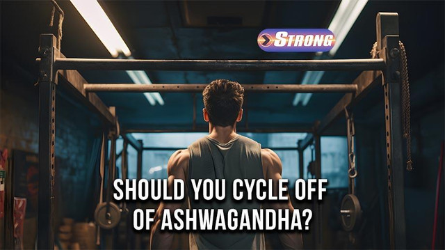 Do You Need To Cycle Ashwagandha Should You Cycle Off Ashwagandha: Benefits & Best Practices - Strong
