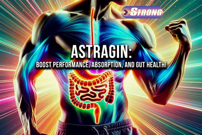 Astragin: Boost Performance, Absorption, and Gut Health