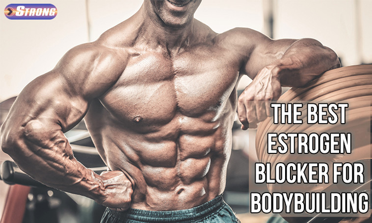 The Best Estrogen Blocker for Bodybuilding 2024