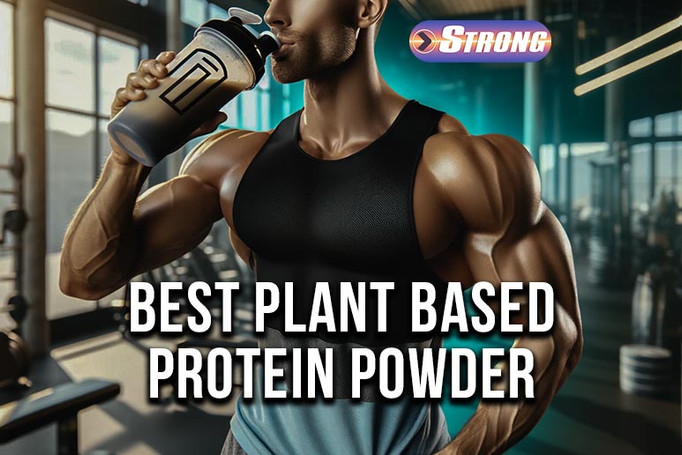 Best Plant Based Protein Powder