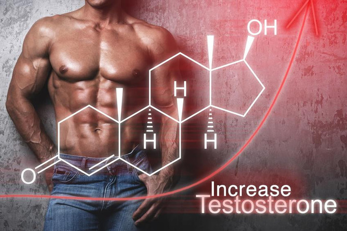 D-Aspartic Acid- Will DAA Boost Your Testosterone - Everything you need to know 