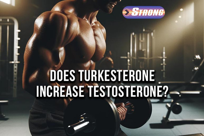 Does Turkesterone Increase Testosterone: The Truth Revealed