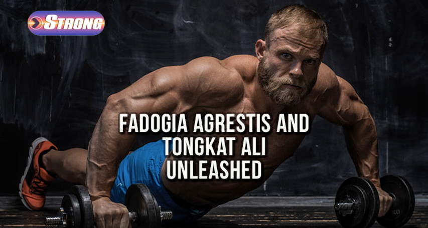 ​Fadogia Agrestis and Tongkat Ali Unleashed: Exploring Supplements with the Dynamic Duo