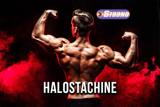 Halostachine Supplement Guide: Benefits, Uses & Side Effects