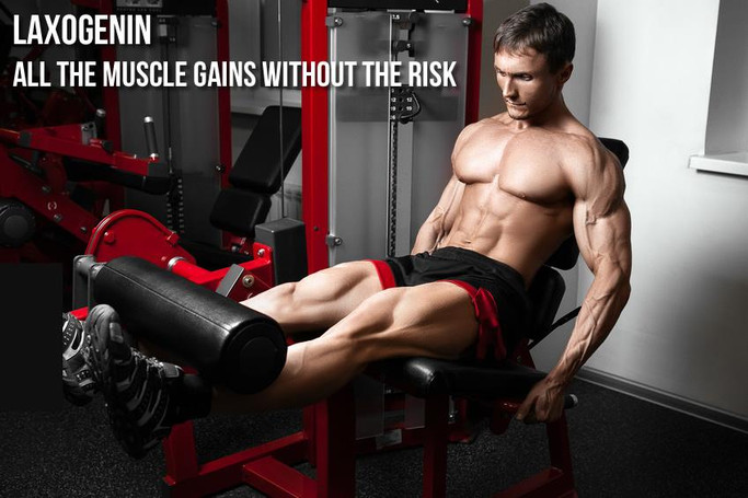 Laxogenin: All the Muscle Gains Without All The Risk  