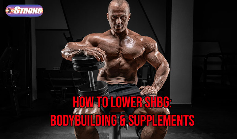 How to Lower SHBG: Bodybuilding & Supplements