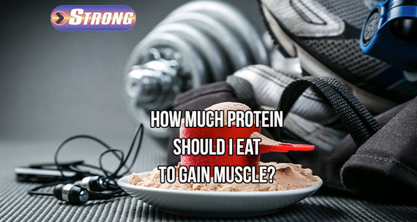 ​How Much Protein Should I Eat to Gain Muscle