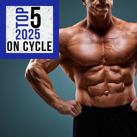 Top 5 On Cycle Support 2025