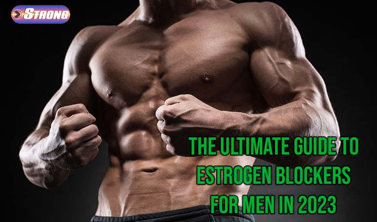 ​The Ultimate Guide to Estrogen Blockers for Men in 2023