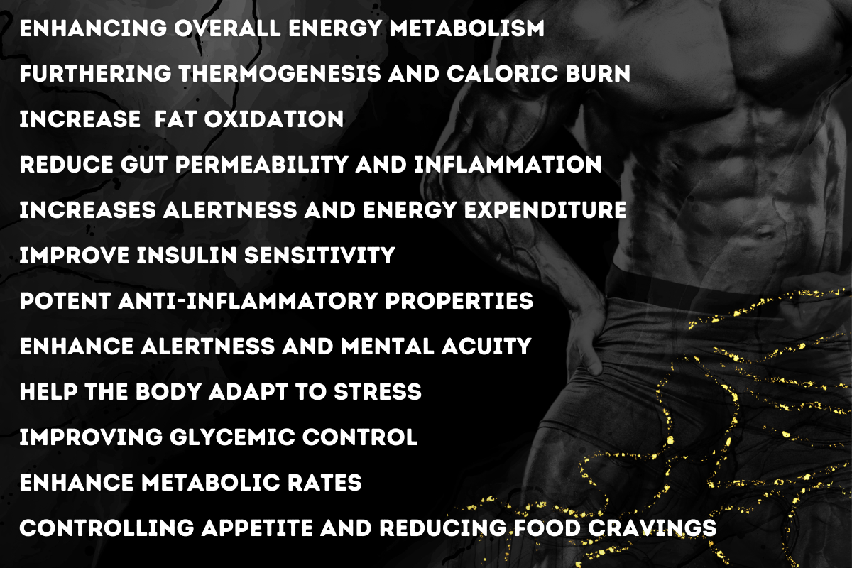 AlphaChisel Fat Burner Benefits