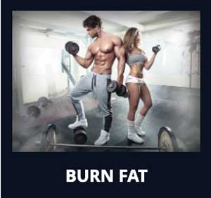 Fat Burning Supplements