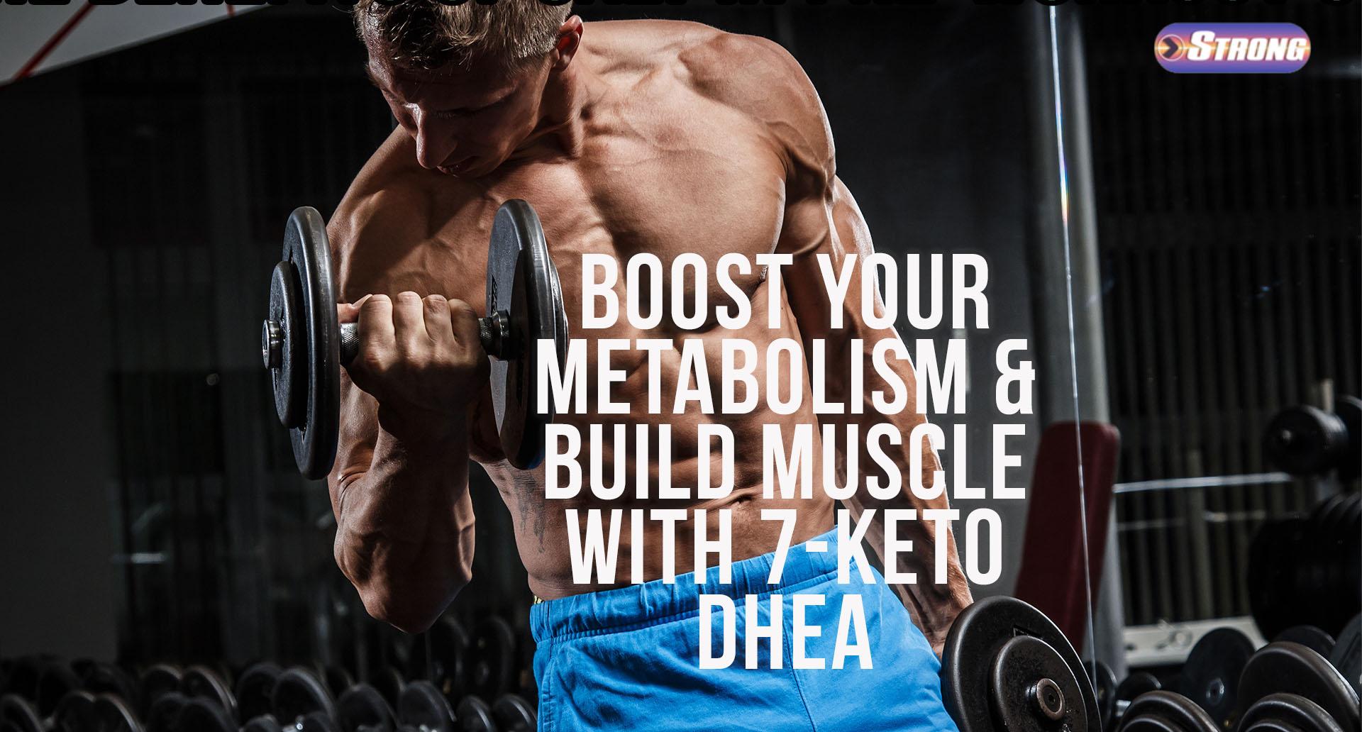Boost Your Metabolism & Build Muscle with 7Keto DHEA Strong