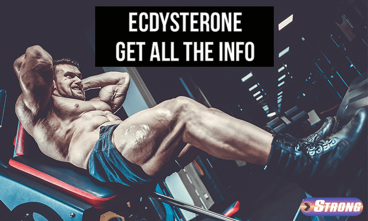Ecdysterone Ingredient Info - Everything you need to know now! - Strong ...
