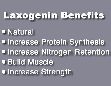 Laxogenin Benefits Info graph 