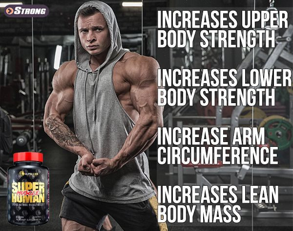 Achieve Amazing Muscle Mass with Alpha Lion - Strong Supplement Shop