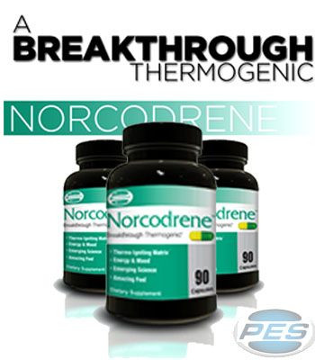 Norcodrene at strongsupplementshop.com