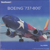 NGM08074 1:200 NG Model Southwest Airlines B737-800 Reg #N8660A Lone Star One (pre-painted/pre-built)