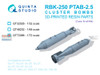 QTSQT72086 1:72 Quinta Studio RBK-250 PTAB-2.5 Cluster Bomb Set