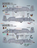 BMA48059 1:48 Bullseye Model Aviation Decals - A-10C Thunderbolt II 'Hormuz Hawgs'