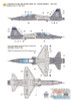 WPDDEC48018 1:48 Wolfpack Decal - T-38C Talon 'Randolph AFB'