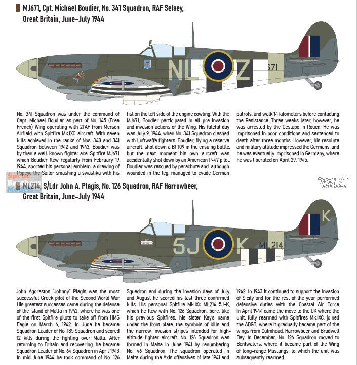 139Stage11PolishedStandar、Spitfireのセット Eduard ProfiPACK Kit No. 11157 - Spitfire Story: Southern Star