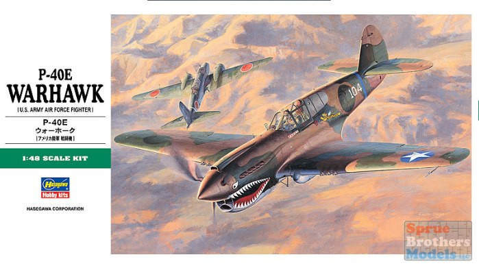 Maquette d'avion en plastique P-40N Warhawk 'Natural Metal Aces' 1:48