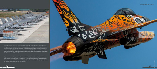 DHBHC002HC Duke Hawkins Books - Ode to the Falcon: 50 Years of the F-16 Fightning Falcon