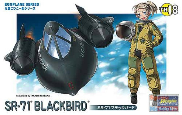 HAS60128 Hasegawa SR-71 Blackbird Egg Plane - Sprue Brothers