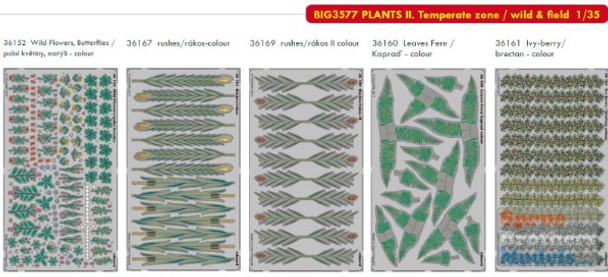 EDUBIG3577 1:35 Eduard BIG ED Plants #2 Temperate Zone / Wild & Field