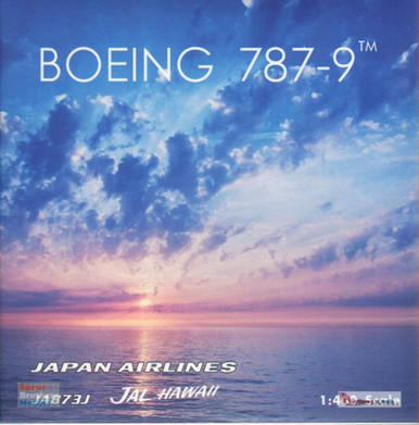 JINSANG IN FLIGHT レコード JINSANG IN FLIGHT Record