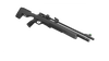 CROSMAN Icon .22 Air Rifle