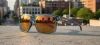 Tifosi Shumo Sunglasses