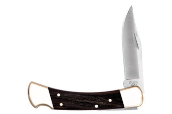 Buck 110 Hunter Folder Knife