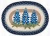13"x19" Bluebonnets Placemat PM-OP-062