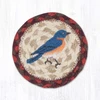 5" Bluebird Coaster IC-417