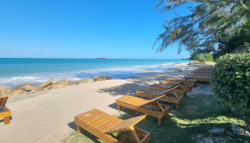 Experience the ultimate day in port at the Treehouse Beach Club in Antigua! 