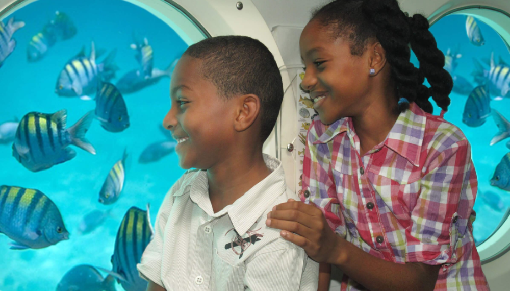 Atlantis Submarine Day Dive Pass 