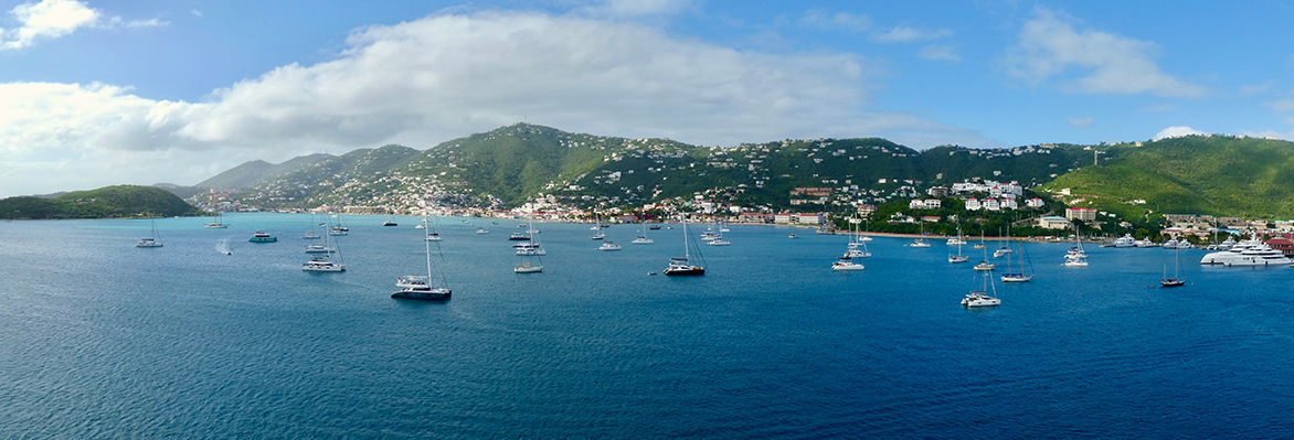 stt-view.png