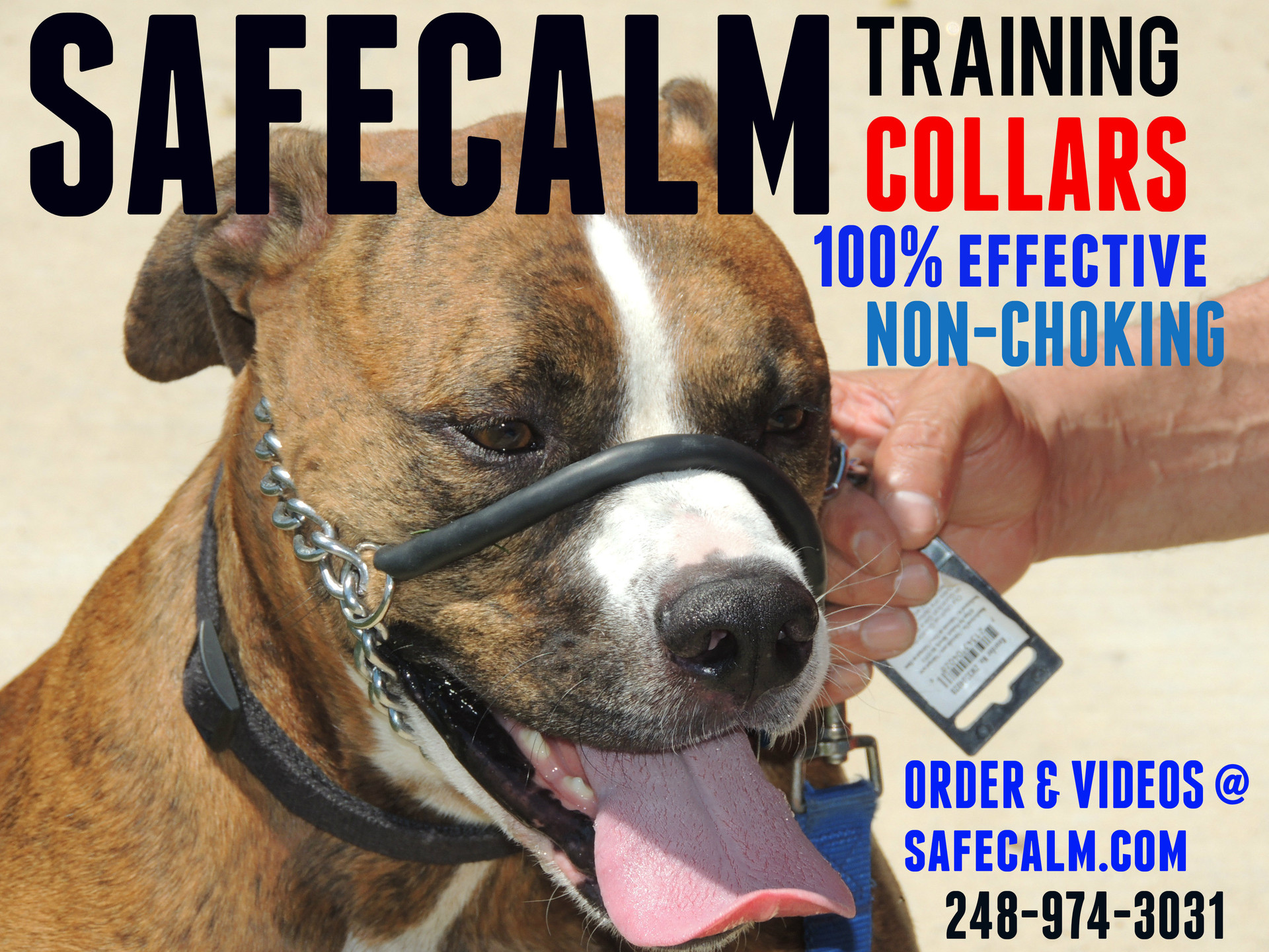 The Amazing SafeCalm Dog Training collar is safe, 100 effective for dog walking, helps or fixes