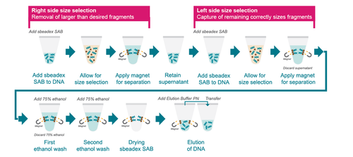 sbeadex SAB, 450mL 
 {2713-NAP45004}